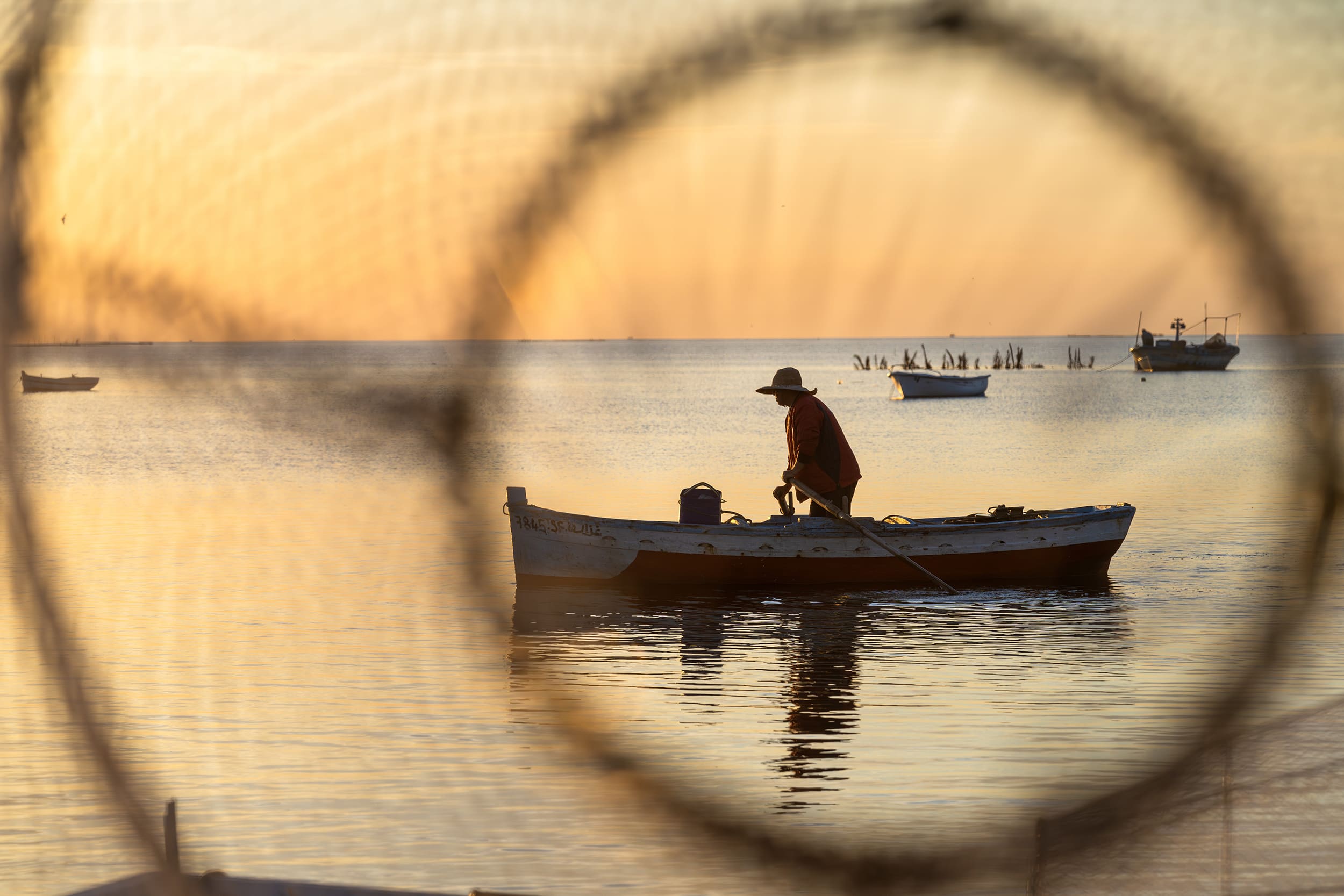 Les iles kerkennah: Un sanctuaire de tranquillité