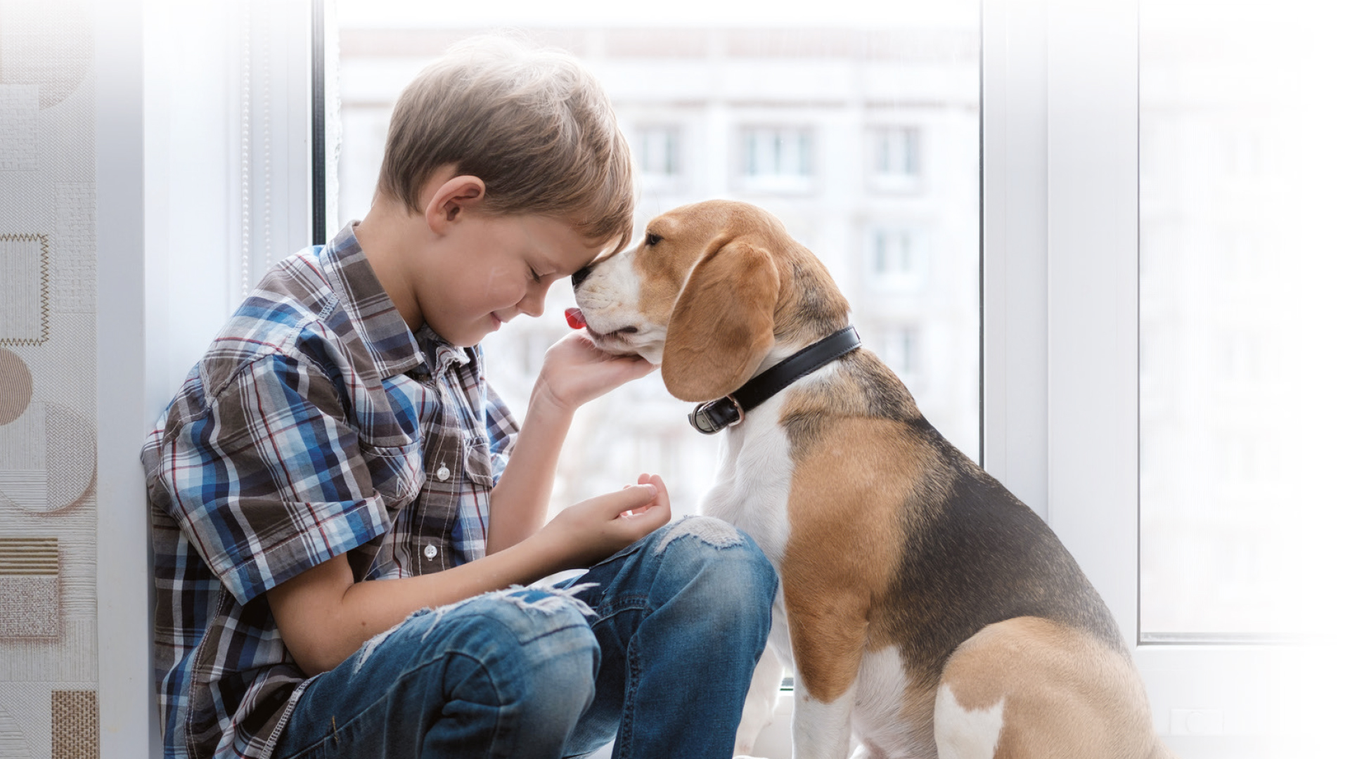 Des enfants proches des animaux, des adultes plus humains
