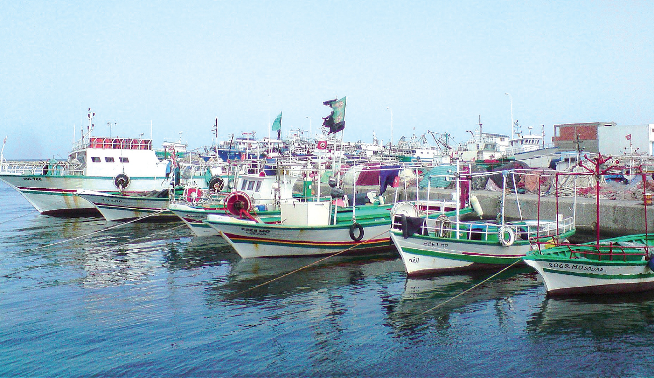 SAYADA – Le port de pêche :  le cœur battant de la ville
