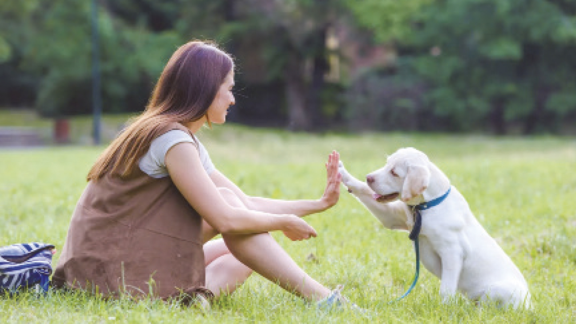 Bien respecter son chien est un acte d’amour