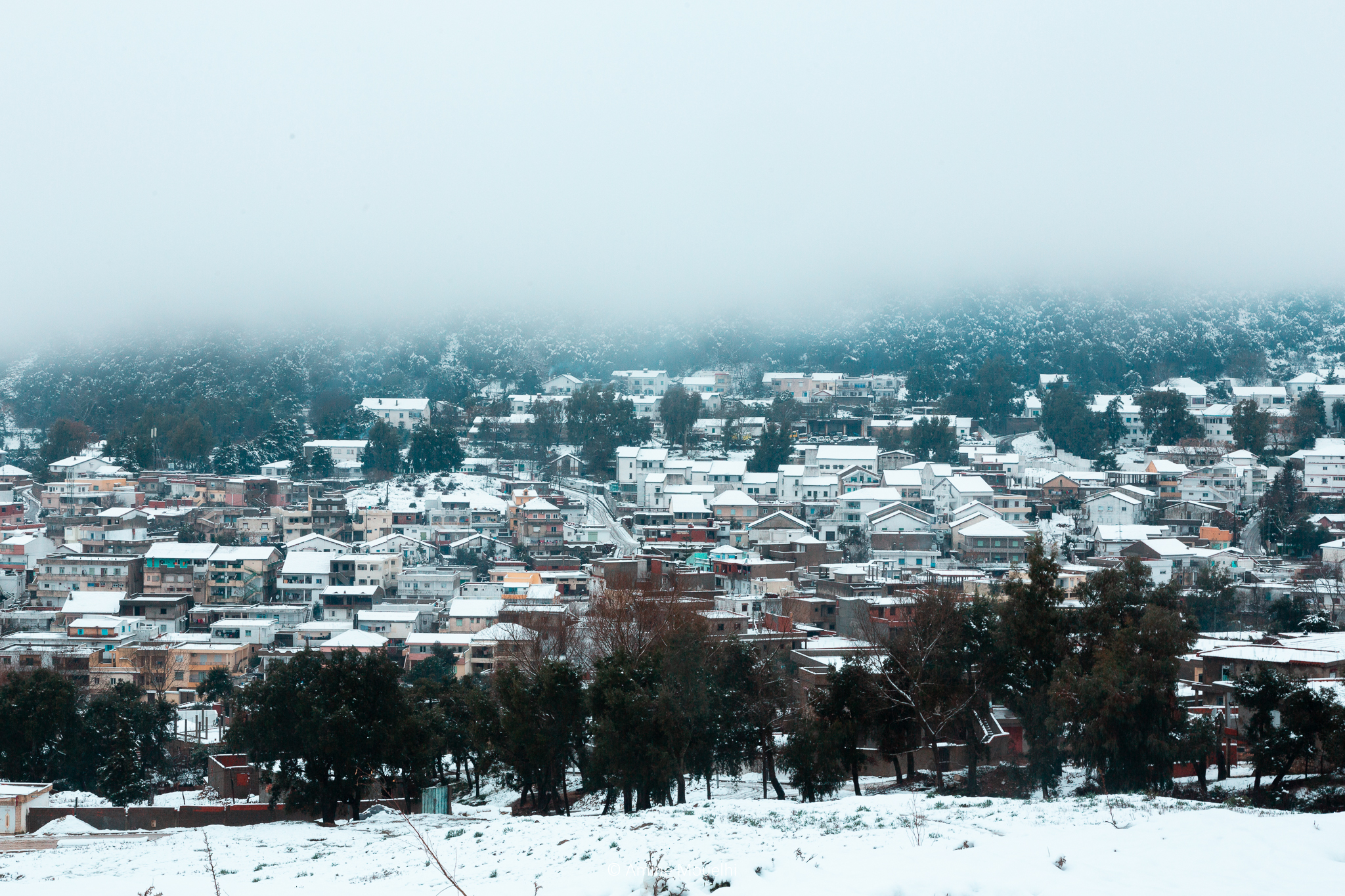 Aïn Draham: La magie de la première  chute de neige