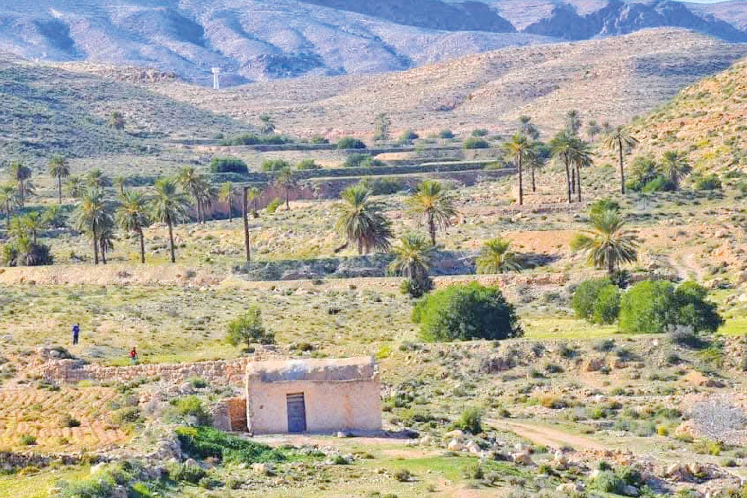 Mareth: Dans les entrailles silencieuses de la Ligne oubliée