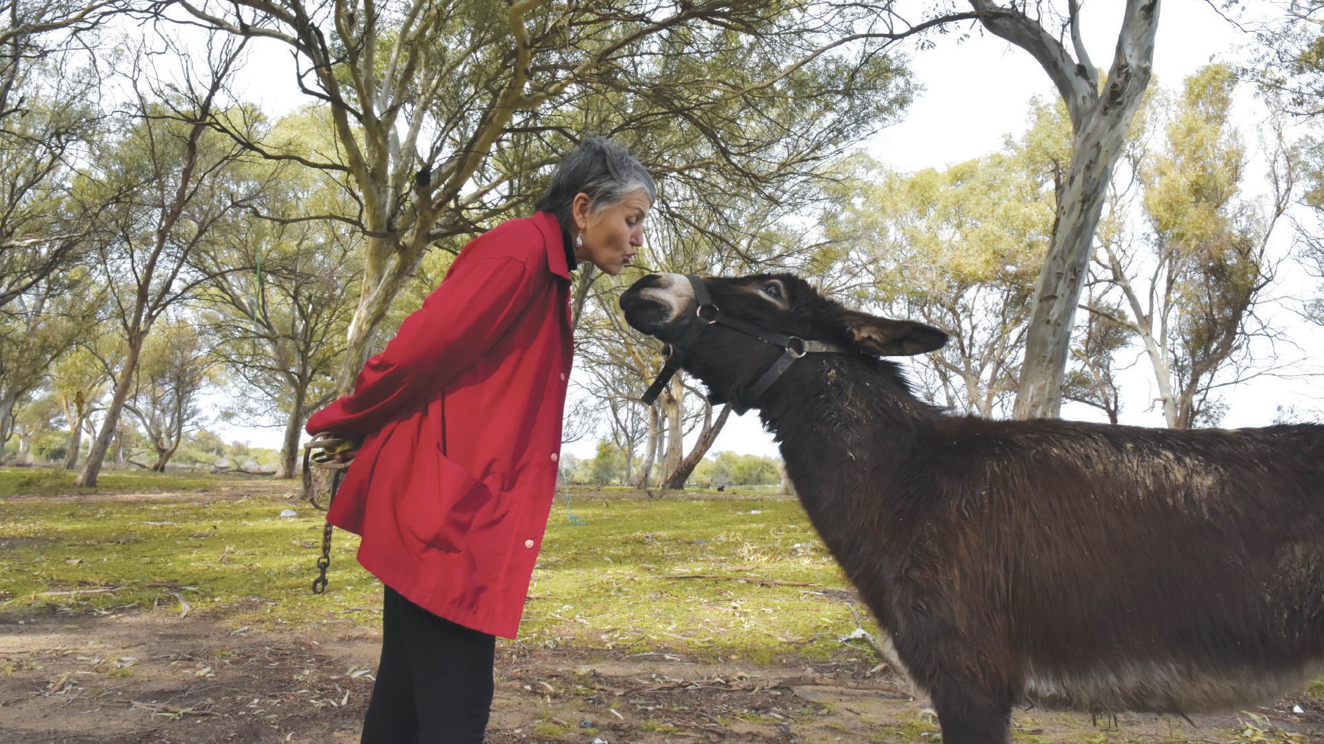 Rencontre avec la vétérinaire – Dr Olfa ABID : Une vie inspirée, une carrière passionnante