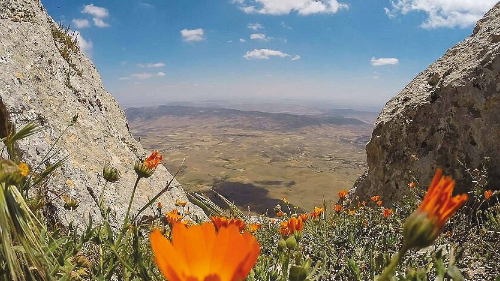 SIDI BOUZID: Un trésor caché de la Tunisie  intérieure