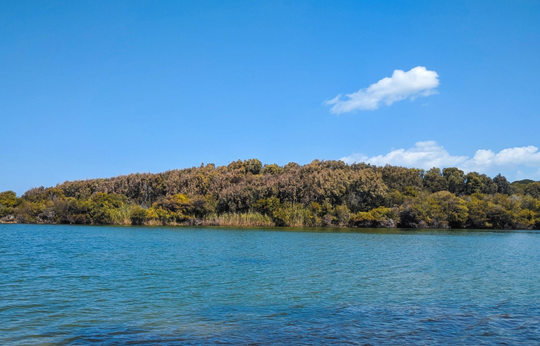 Béja – Chatt Zouaraa: Quand la nature booste les hormones  de la joie et du bonheuR