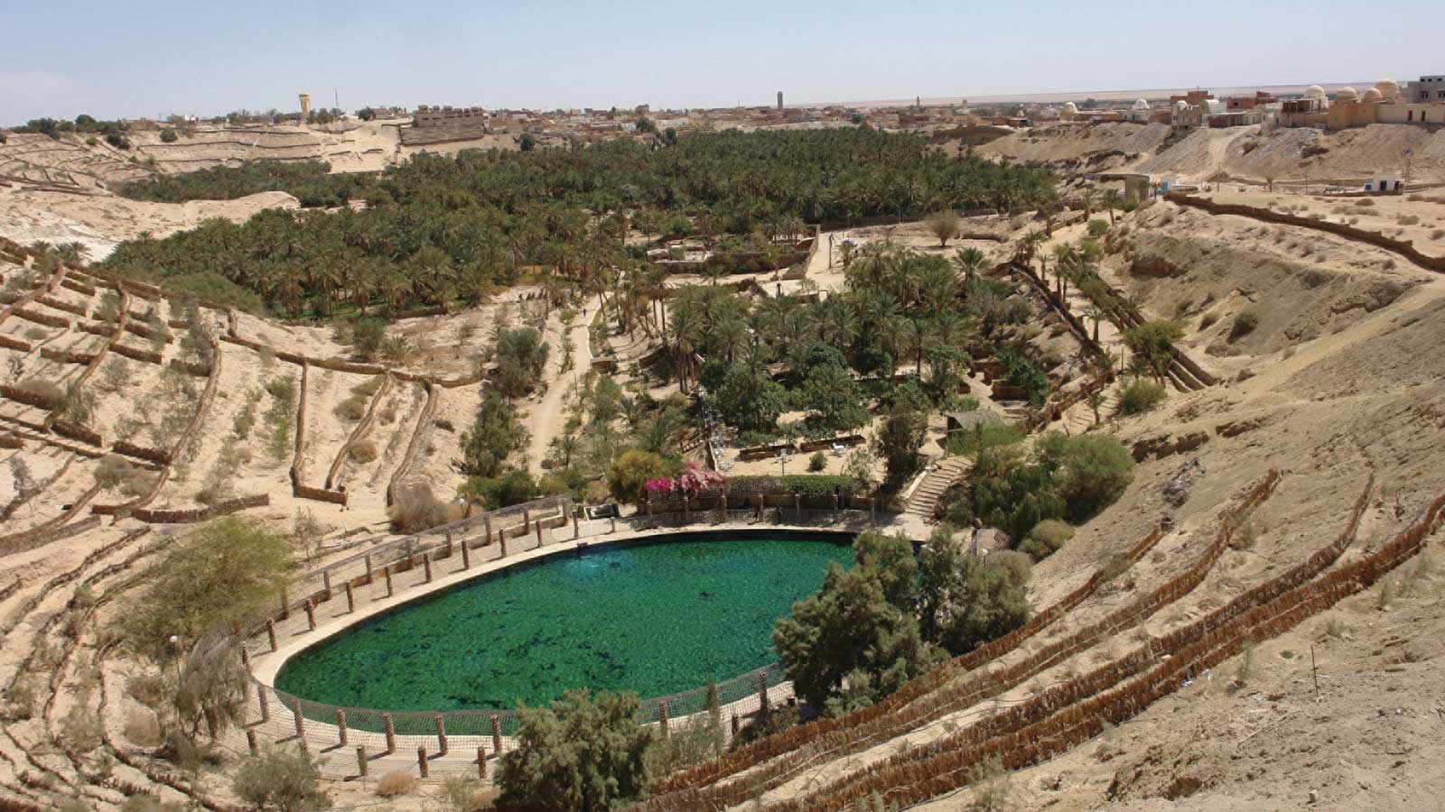 Nefta : Au fil des palmiers et des vieilles pierres